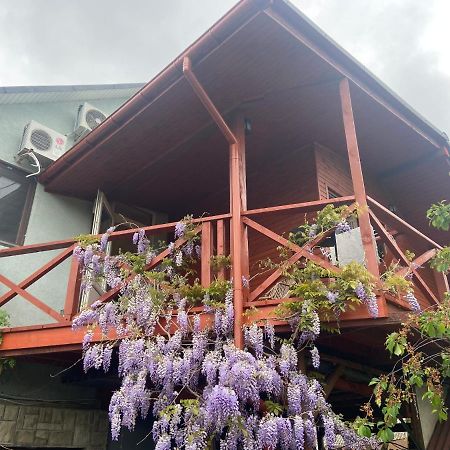 Fkoka Bed & Breakfast Berehove  Ngoại thất bức ảnh