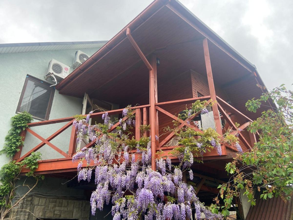 Fkoka Bed & Breakfast Berehove  Ngoại thất bức ảnh