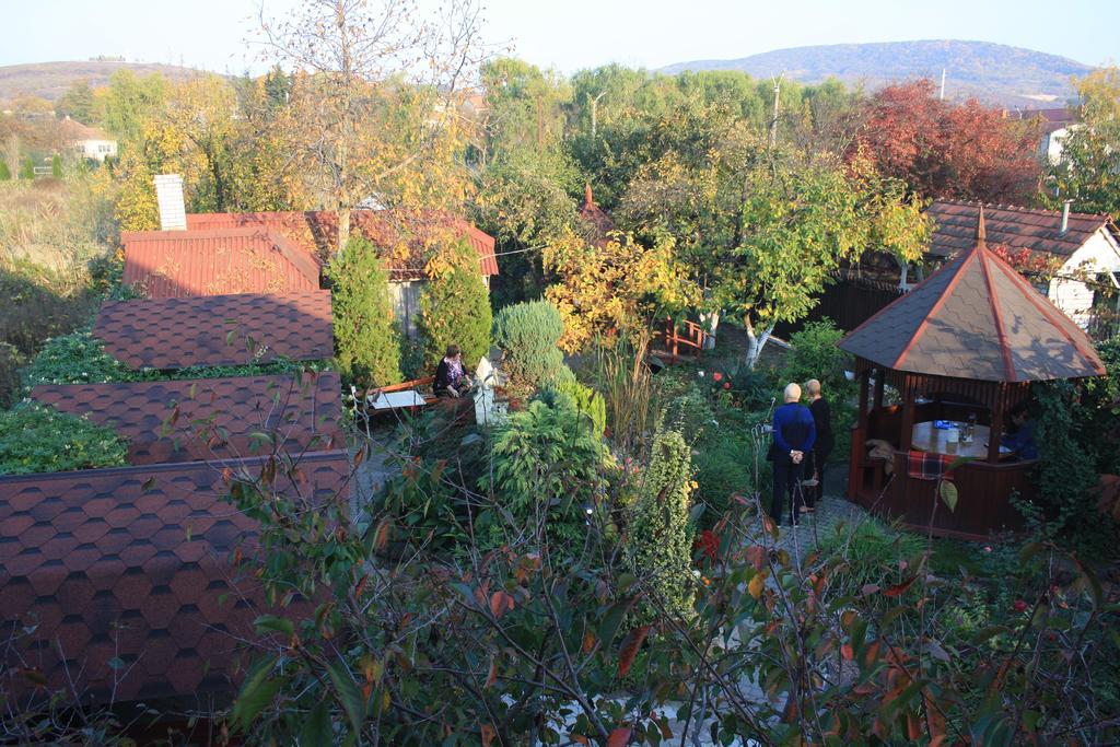 Fkoka Bed & Breakfast Berehove  Ngoại thất bức ảnh