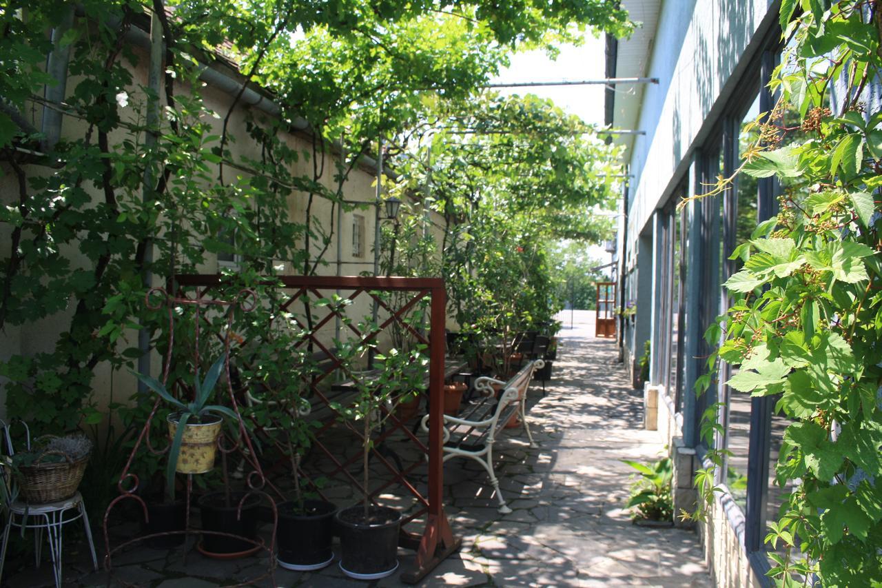 Fkoka Bed & Breakfast Berehove  Ngoại thất bức ảnh